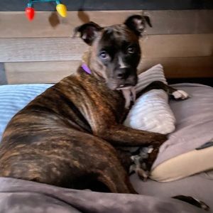 Meet your Posher, Austin